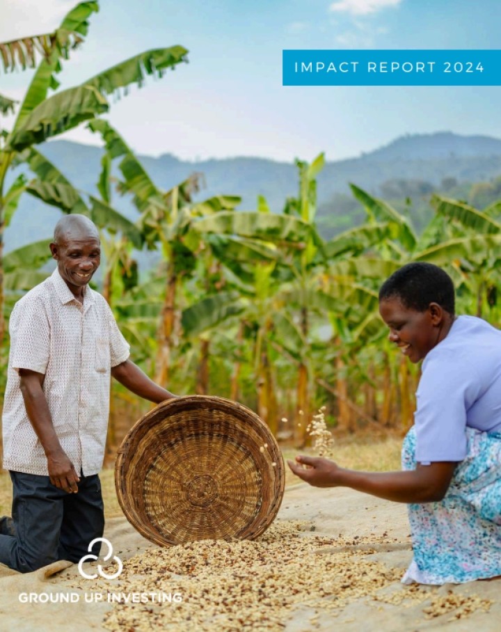 Impact Report 2024